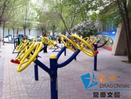 農村居民對蘭州體育設施的訴求有哪些？這些訴求符合實際情況嗎？