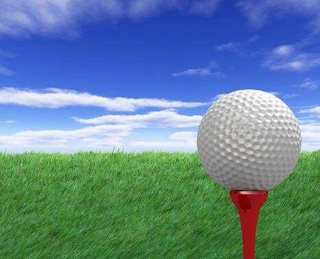 體育用品批發零售：用品介紹說明書