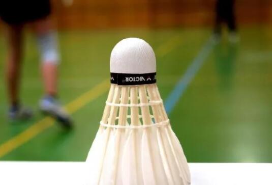 羽毛球這一運動項目怎么樣得到一個好的訓練方法